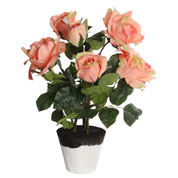 Planta Artificial - Roseira cor-de-Pssego - MICA